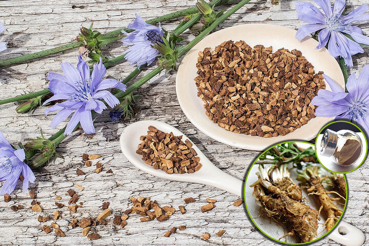 دمنوش ریشه کاسنی